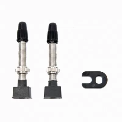 VALVOLA TUBELESS PRESTA 421830549 1