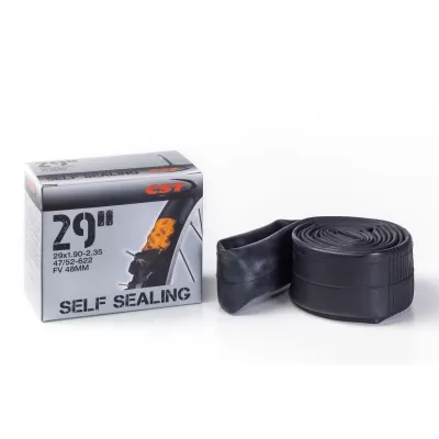 CAMERA D'ARIA CST 29X1.90/2.35 FV (CORSA) 48MM 012027 1