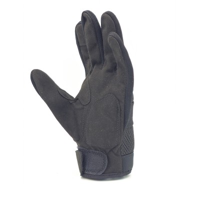 GUIDANCE BIZARD EXTRACCIÓN