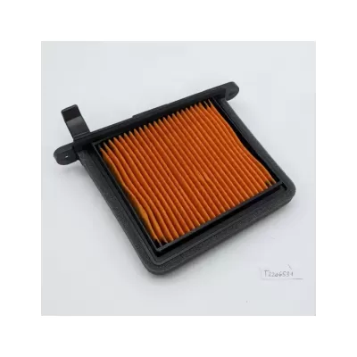 FILTRO ARIA DESTRO TRIUMPH 1200 BONNEVILLE BOPPER 2017-2019