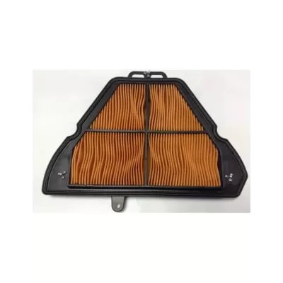 FILTRO ARIA TRIUMPH 1050 TIGER/SE/SPORT-1050 SPRINT ST/GT