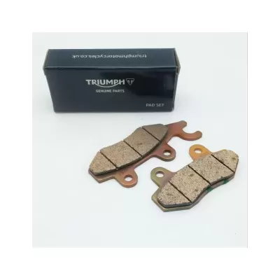 PASTIGLIE FRENO MOTO TRIUMPH TT2450GG