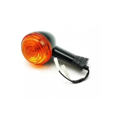 INDICATORE DI DIREZIONE POSTERIORE SINISTRA TRIUMPH