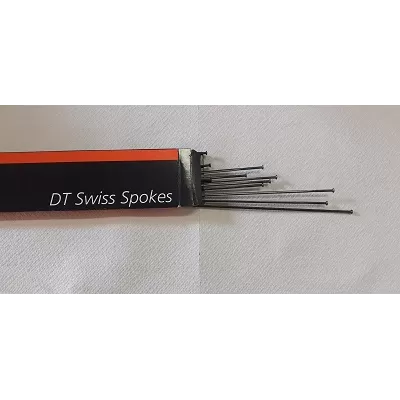 RAGGI BICI DT SWISS 2.0/1,25 SACS20258S00200253 2