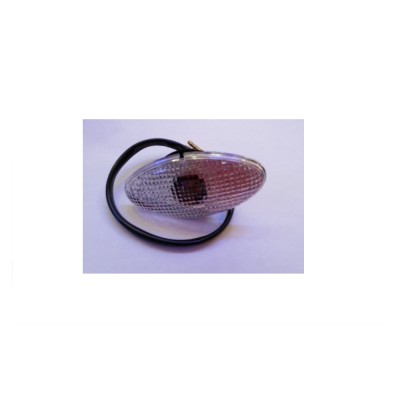 INDICATORI LAMPEGGIANTI TRASPARENTI FL0254 2